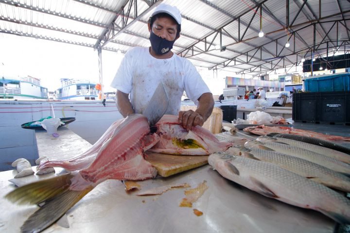 Venda de peixes despenca após surto da doença da ‘urina preta’ no Amazonas