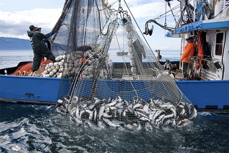 Homem é condenado por crime ambiental após pesca em local proibido