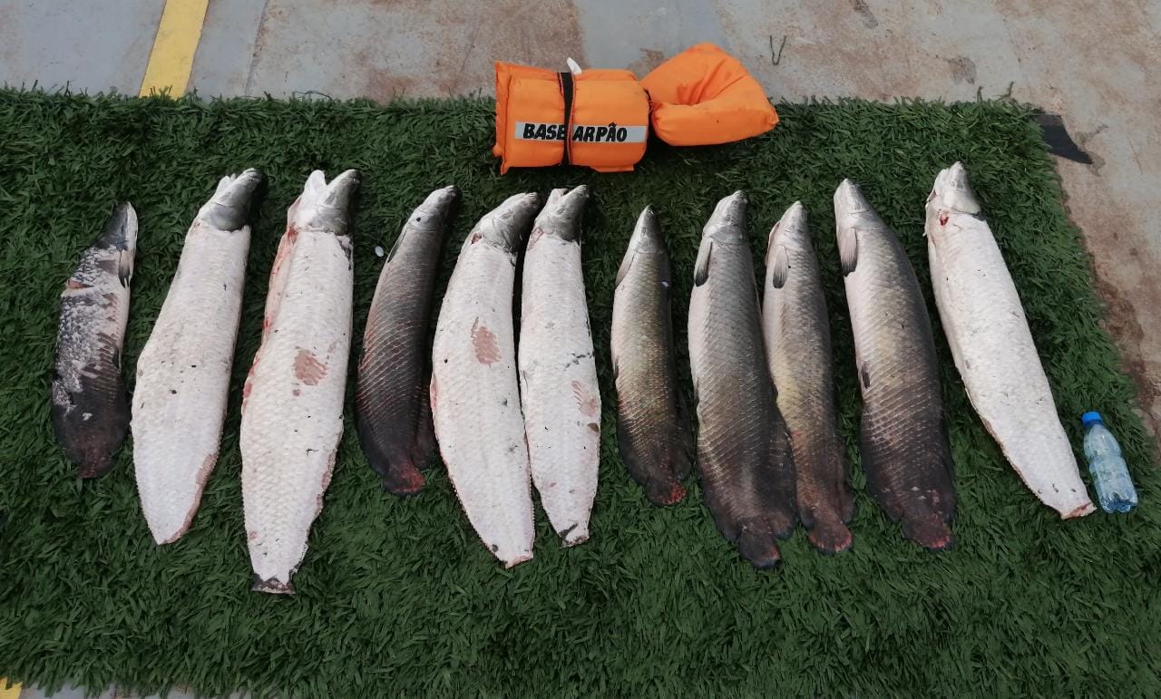 Mais de 50 quilos de pescado ilegal são apreendidos em canoa no Amazonas