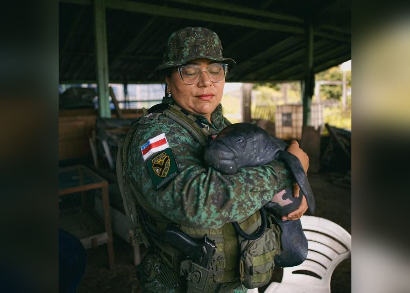 Filhote de Peixe-Boi é resgatado em flutuante no Amazonas