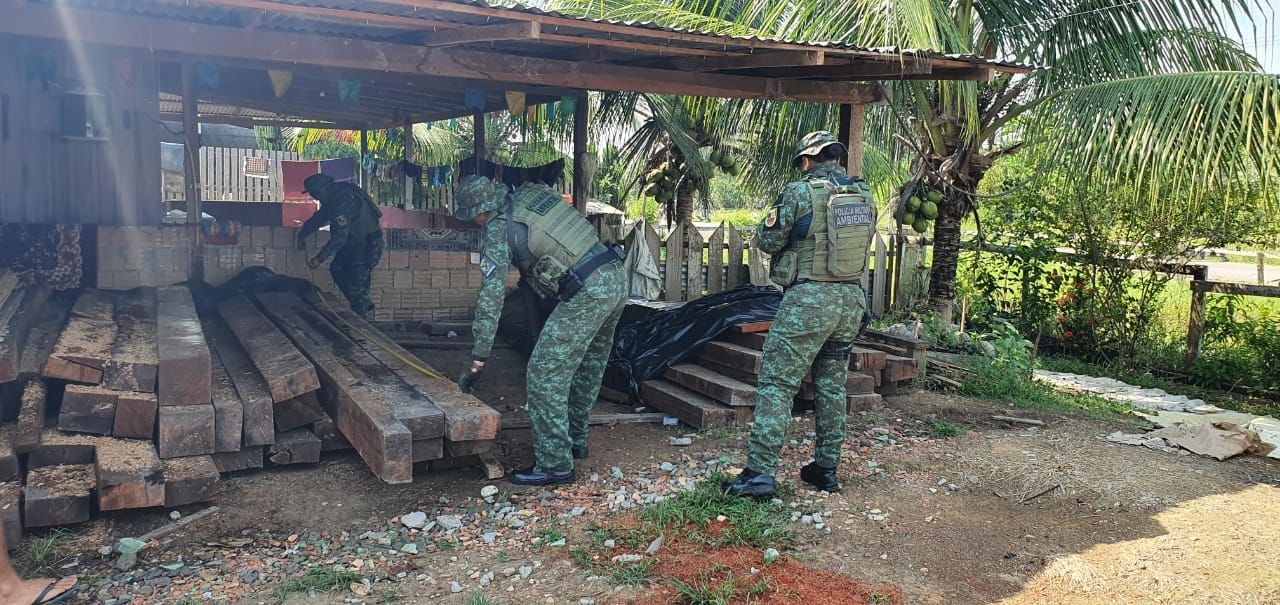 Polícia apreende 4 metros cúbicos de madeira ilegal em depósito no Amazonas