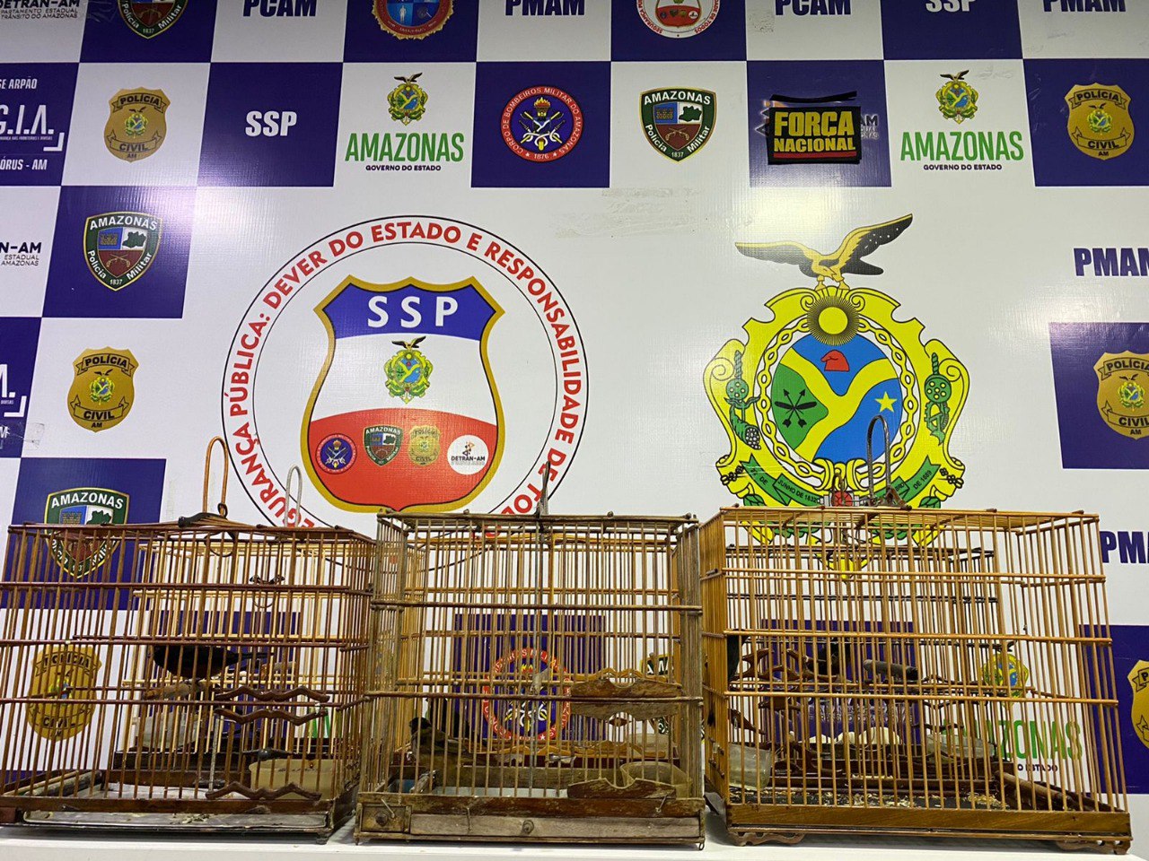 Pássaros silvestres são apreendidos em Manaus em barco vindo do Acre 