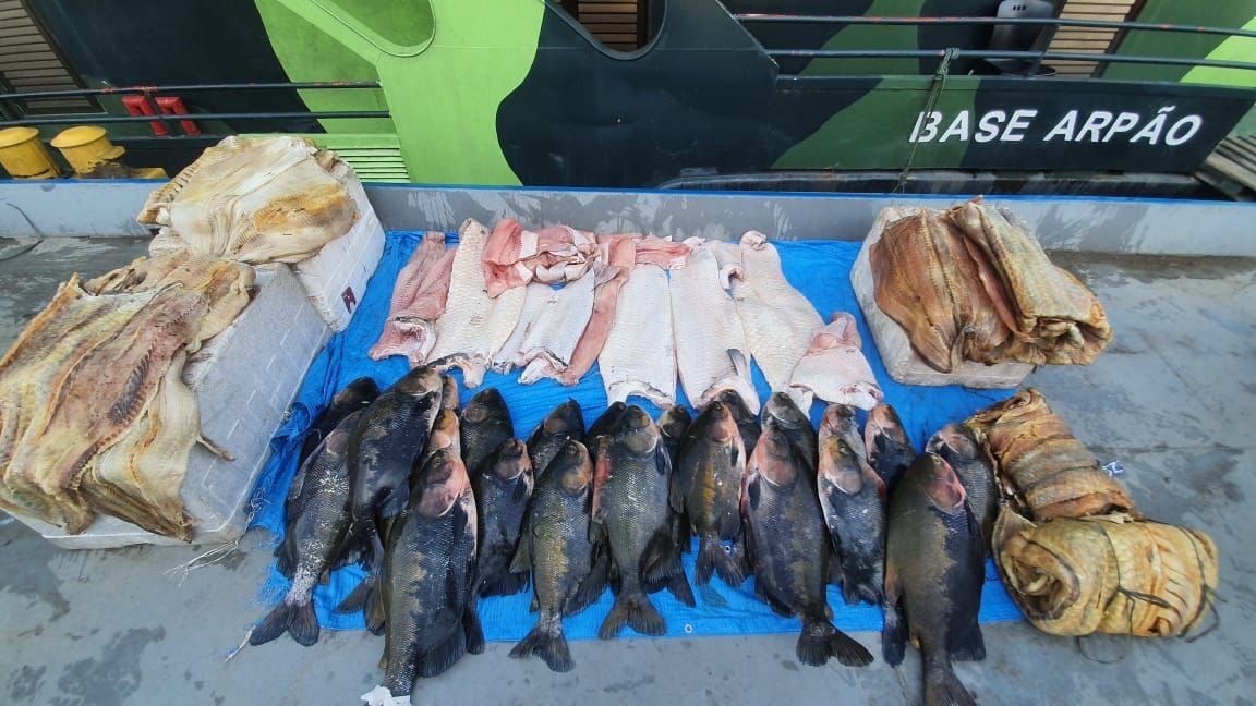 Mais de 700 quilos de pescado ilegal são apreendidos em barco no Amazonas