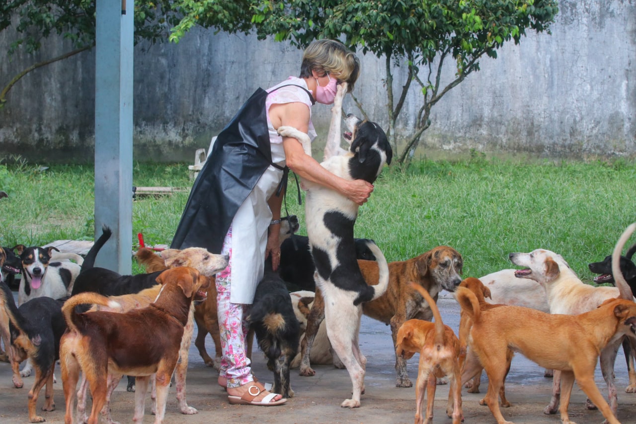 Protetores de animais recebem 15 toneladas de ração no Amazonas