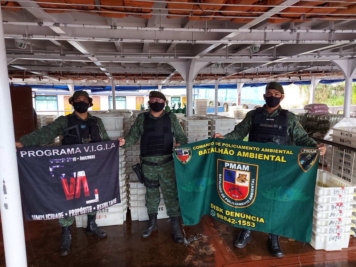 Mais de 7 mil peixes ilegais são apreendidos em porto de Manaus