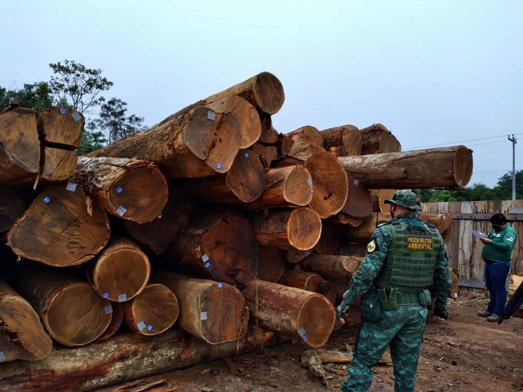 Cerca de 700 metros cúbicos de madeira ilegal são apreendidos no Amazonas