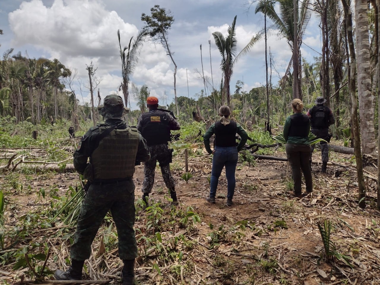 Com motosserras, trio é preso suspeito de crime ambiental no Amazonas