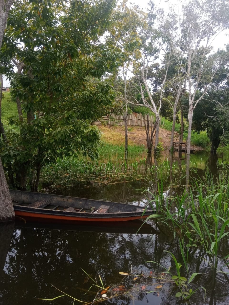 Homem é preso após furtar e fugir com embarcação no Amazonas