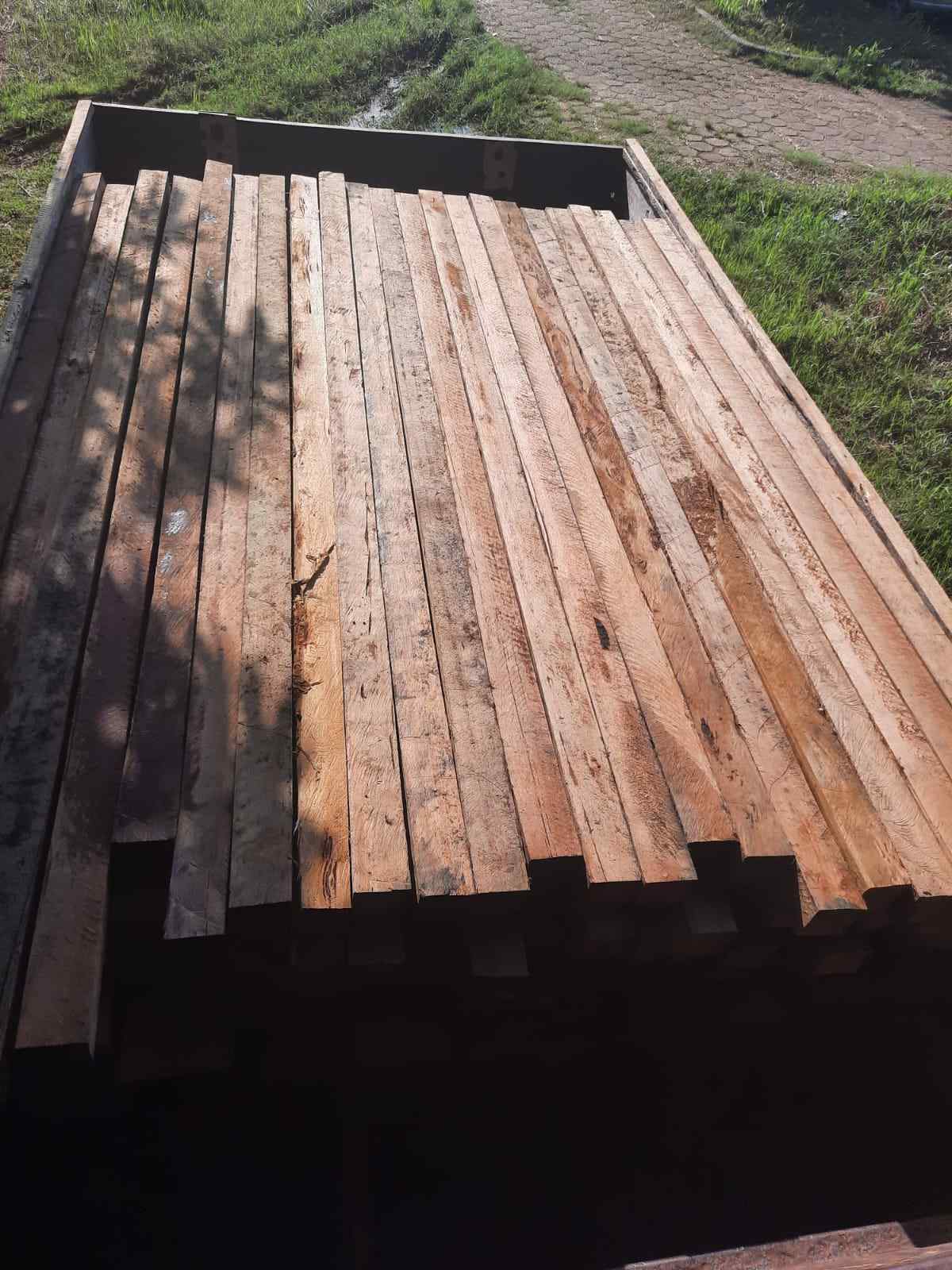 Dupla transporta madeira ilegal e é detida pela Polícia Militar na AM-070