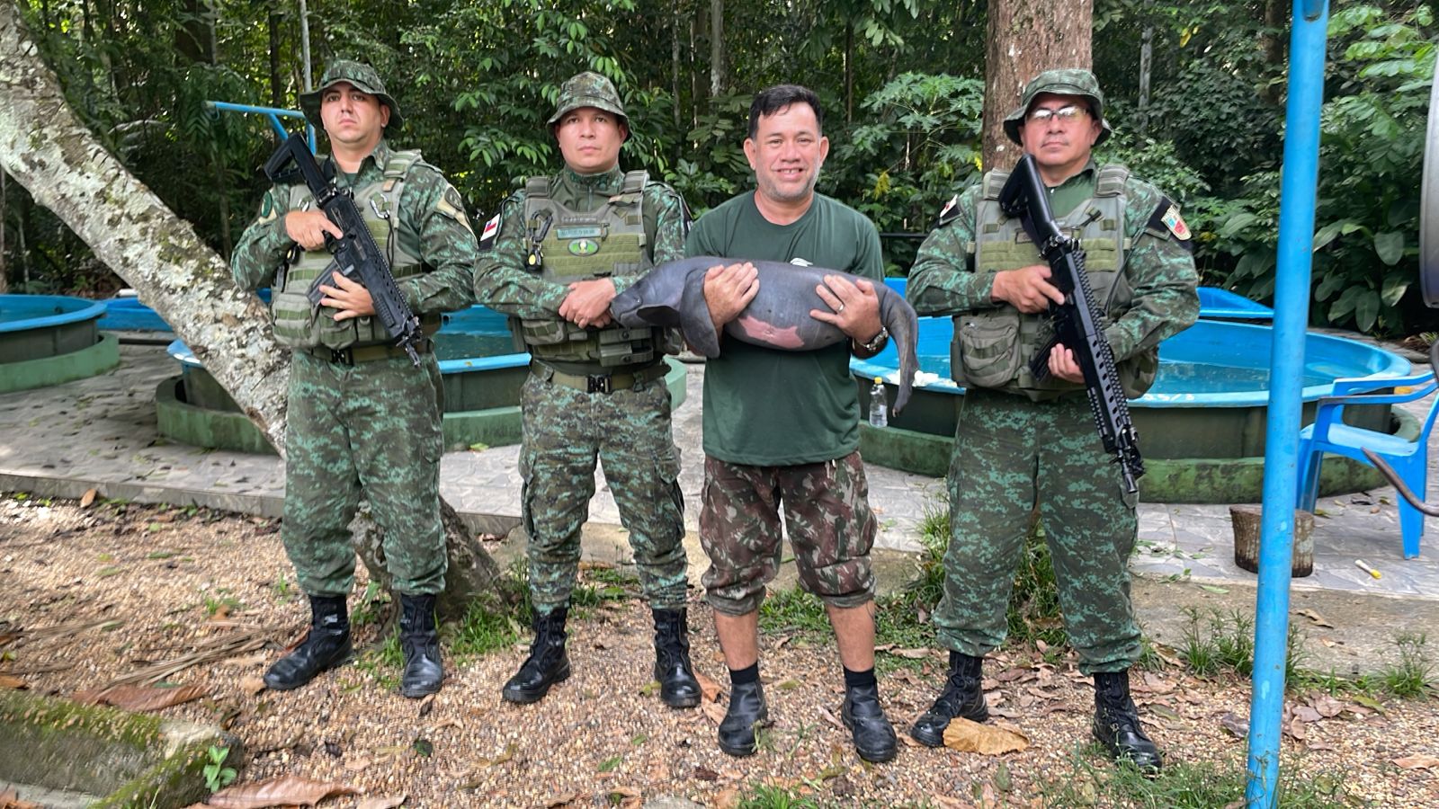 Filhote de peixe-boi resgatado em Silves é trazido para Manaus