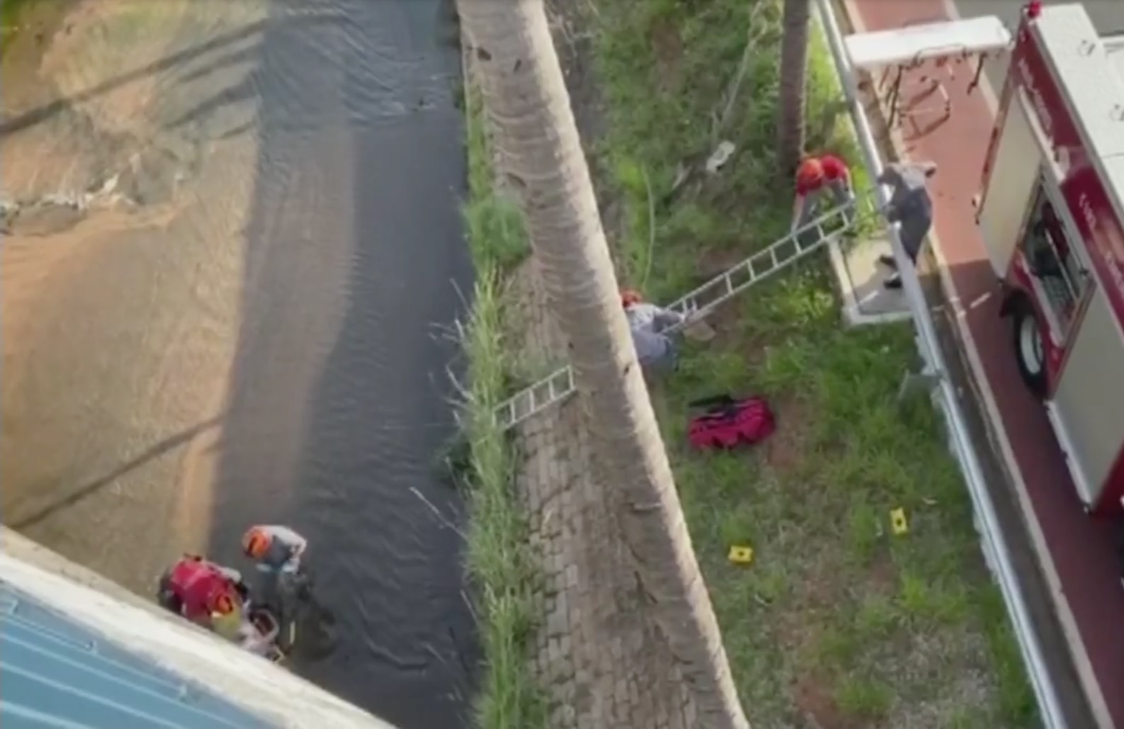 Cadeirante morre após ser jogado de viaduto em tentativa de assalto