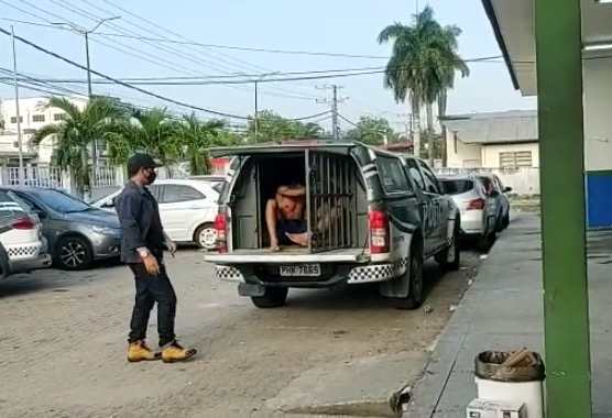 Grupo é preso com arma e drogas escondidas em casa em Manaus