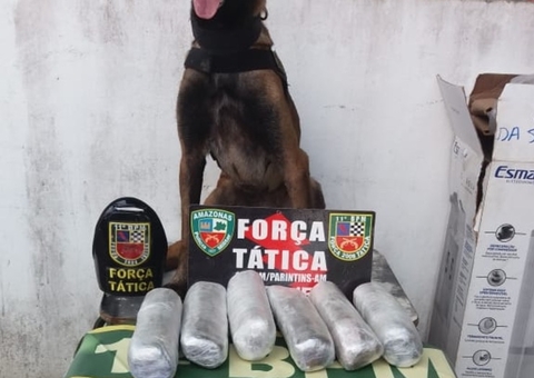 Polícia apreende skank escondido dentro de bebedouro de balsa no Amazonas 