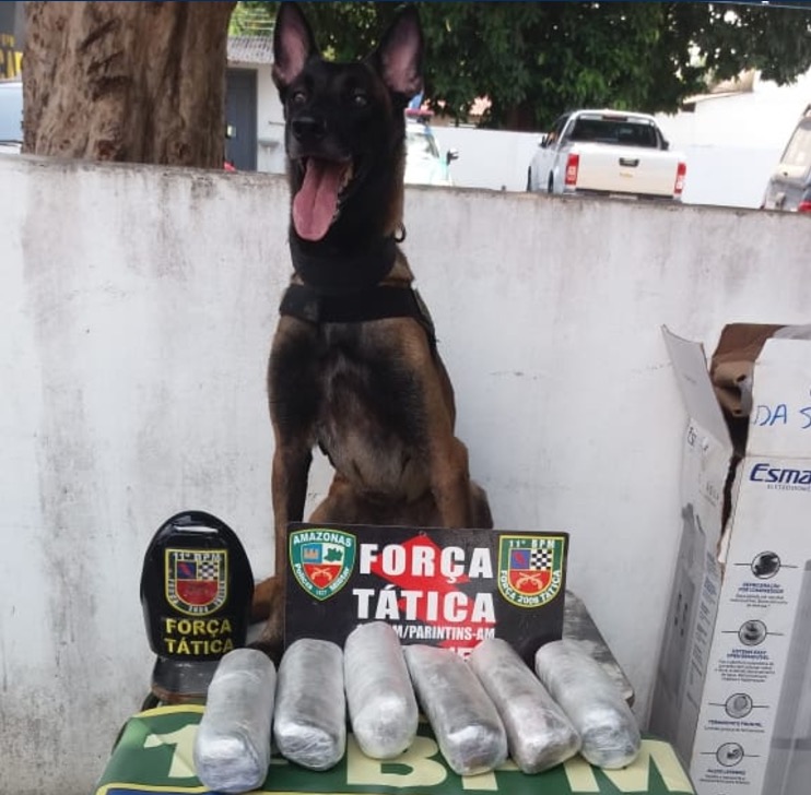 Polícia apreende skank escondido dentro de bebedouro de balsa no Amazonas 