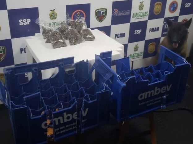 Cão encontra drogas dentro de grade de cerveja no Amazonas