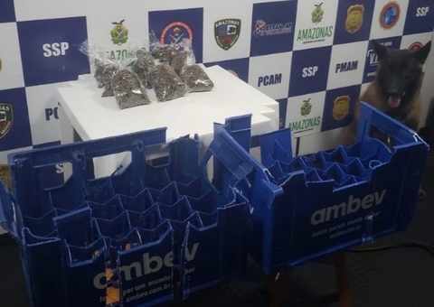 Cão encontra drogas dentro de grade de cerveja no Amazonas