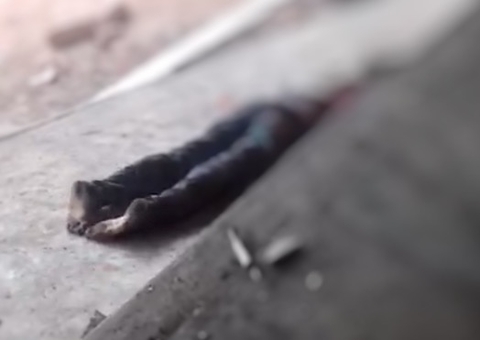 Saiba como mulher achada nos fundos de terreno foi assassinada em Manaus