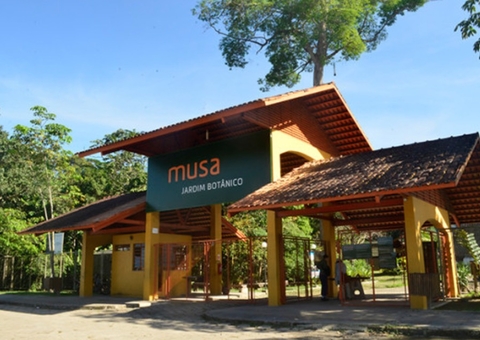 Armado com escopeta, bandido assalta turistas dentro do Musa em Manaus 