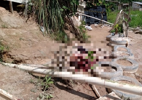 Homem surta, esfaqueia vizinhas e acaba morto por populares em Manaus 