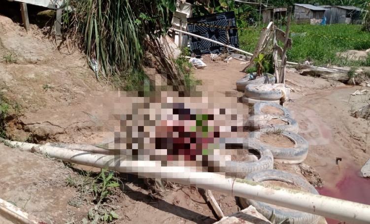 Homem surta, esfaqueia vizinhas e acaba morto por populares em Manaus 