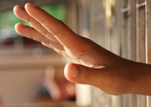 Mulher é presa e cinco carros roubados são recuperados em Manaus 