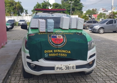 Criadores de pássaros são detidos e aves apreendidas Manaus