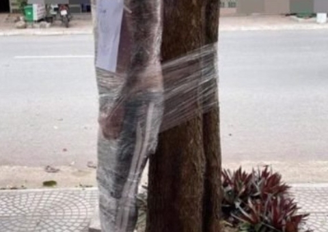 Homem é embalado em plástico e amarrado em árvore após não pagar tatuagem