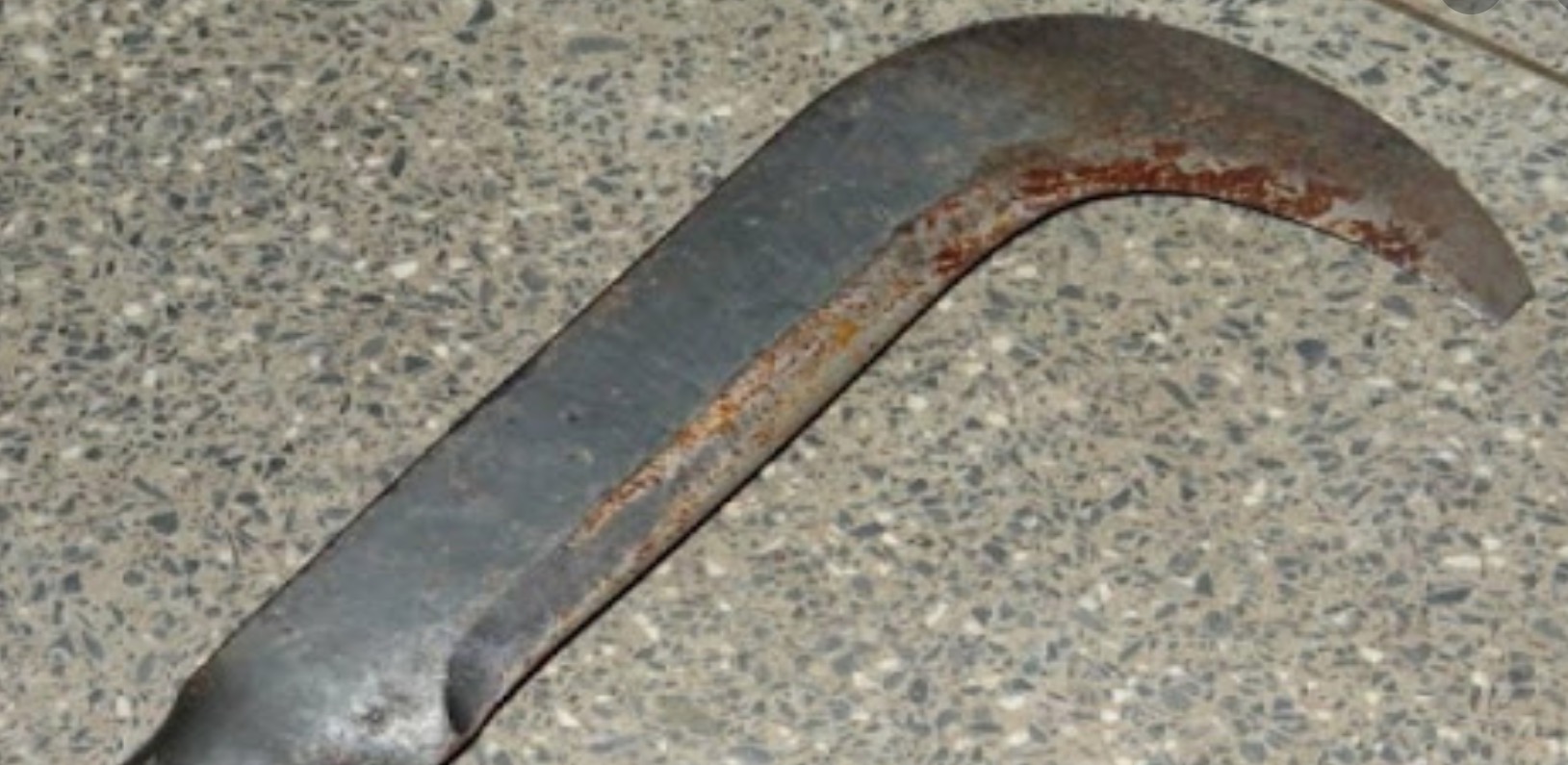 Criança de 11 anos é morta com golpes de foice durante assalto