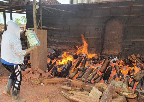 Polícia Civil incinera drogas apreendida em operações no Amazonas 