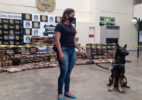 Grupo é preso com 700 kg de skunk escondido em peixes em embarcação no AM 