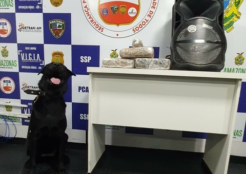 Drogas avaliadas em R$ 82 mil são apreendidas em caixa de som no Amazonas