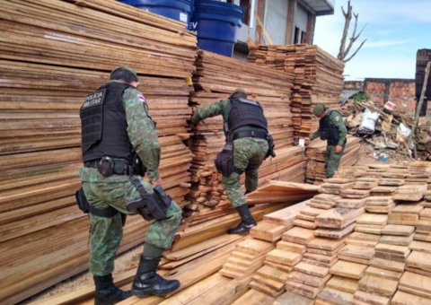 Batalhão Ambiental apreende madeira ilegal em loja de construção em Manaus
