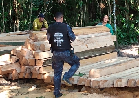 Dois são presos por extração e comércio ilegal de madeira no Amazonas 