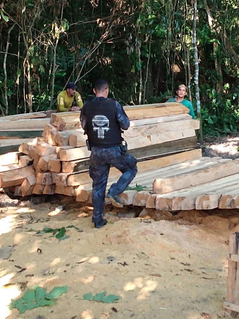 Dois são presos por extração e comércio ilegal de madeira no Amazonas 