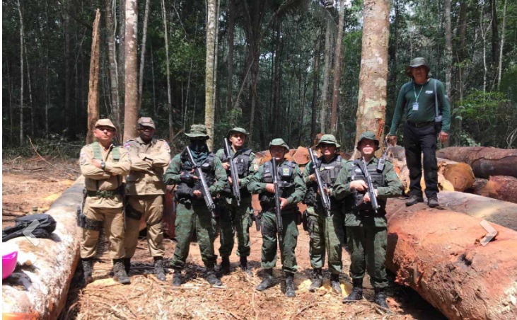 Batalhão Ambiental apreende madeira ilegal no Amazonas