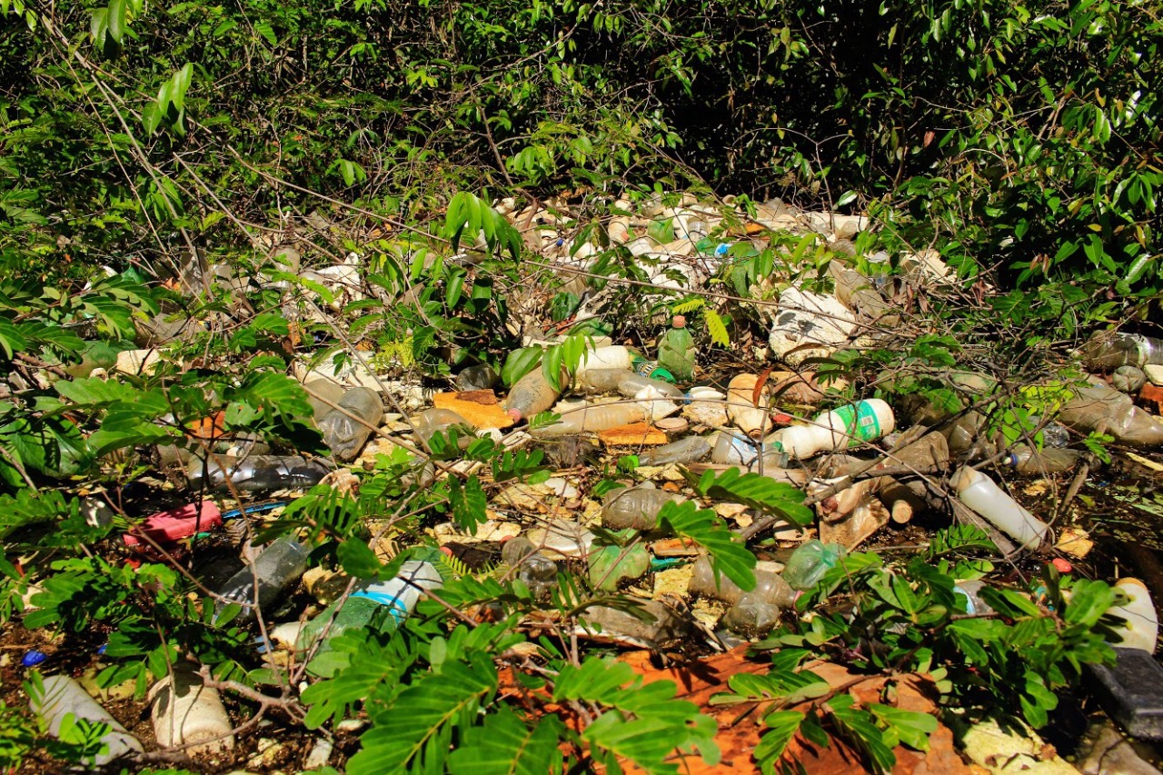 Mini documentário alerta sobre poluição e fim da bacia Tarumã-Açu em Manaus