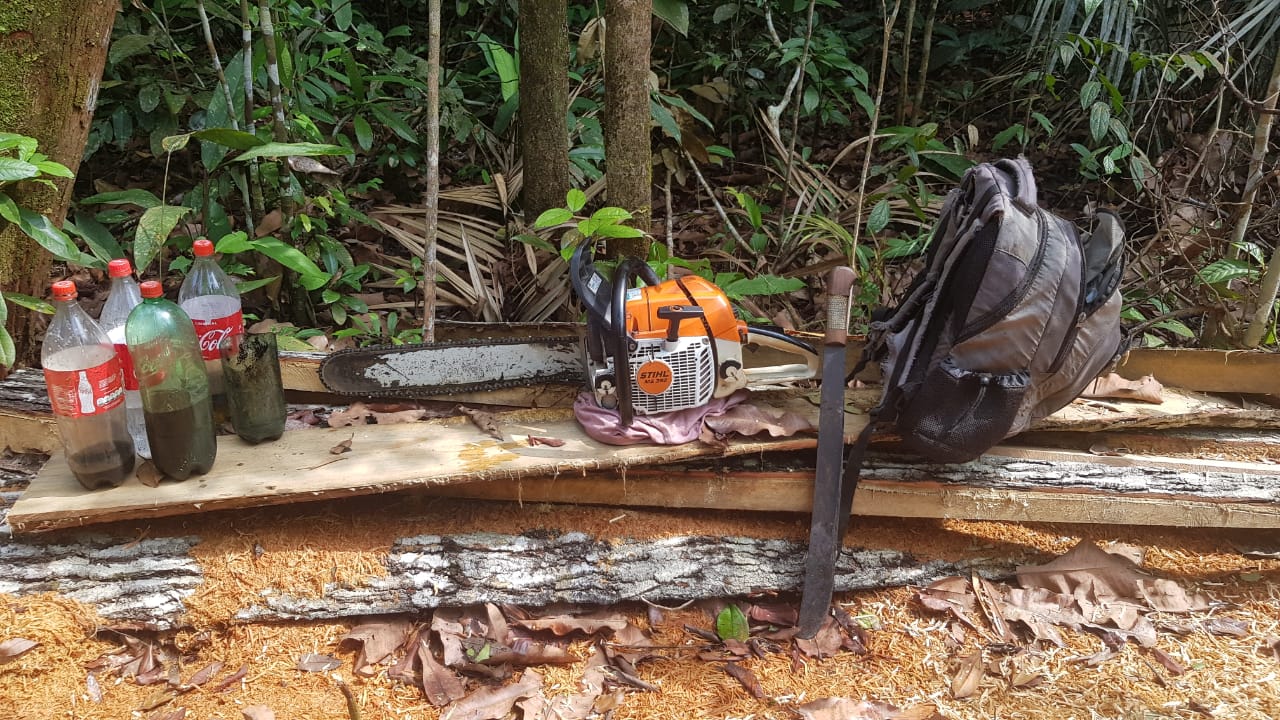 Homem é detido serrando árvores em ramal na AM-010