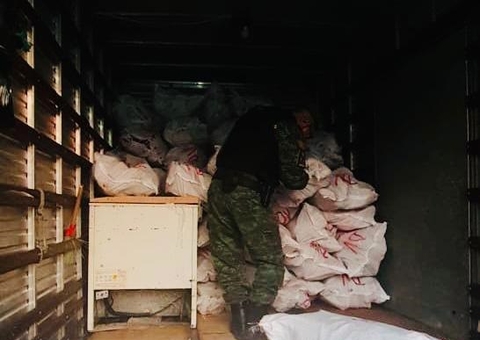 Homem é detido com 7,5 toneladas de pescado ilegal em Manaus 