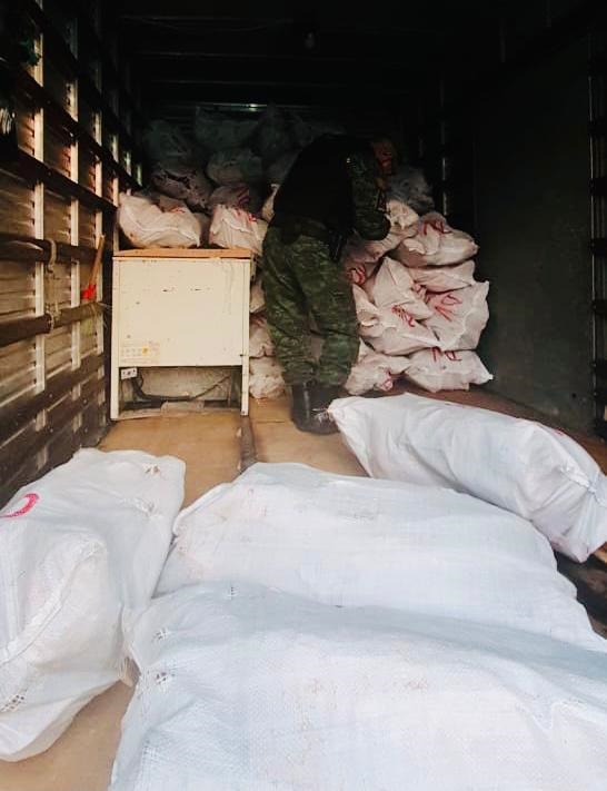 Homem é detido com 7,5 toneladas de pescado ilegal em Manaus 