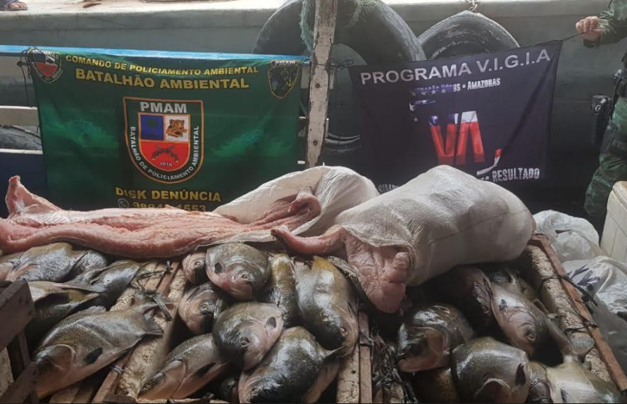 Homem é preso com 800kg de pescado ilegal em barco no Amazonas