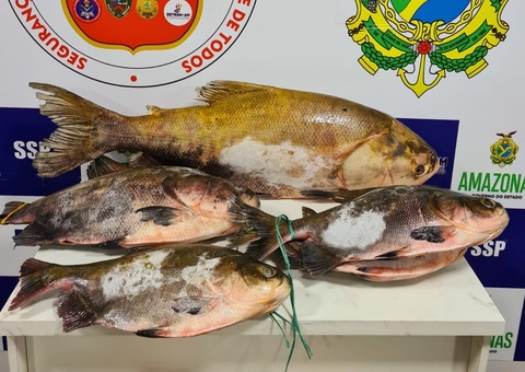 Homem é preso e 131 kg de pescado apreendido em embarcação no Amazonas