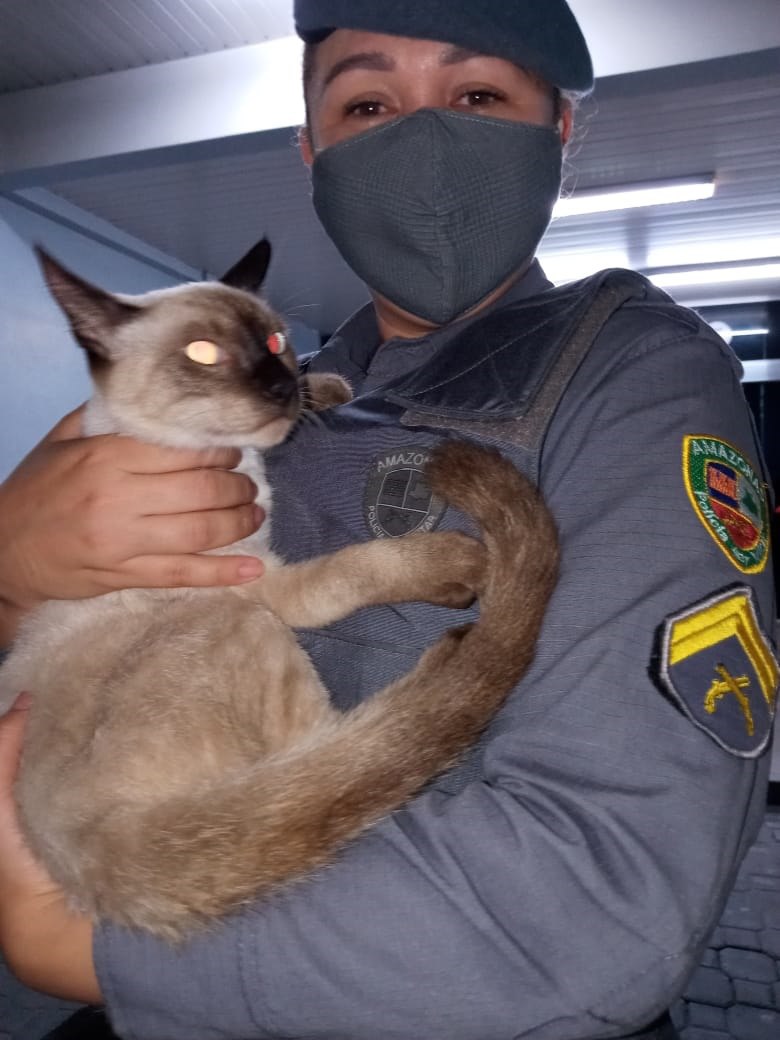 Dupla é presa após amarrar e quase matar gato em Manaus