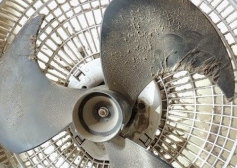 Casal é preso com drogas dentro de ventilador no Amazonas