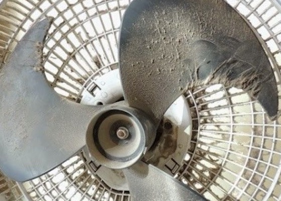 Casal é preso com drogas dentro de ventilador no Amazonas