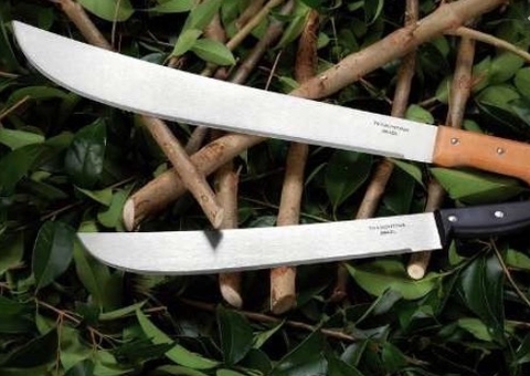 Com terçado e 'peixeira' trio invade ônibus em Manaus e toca terror 