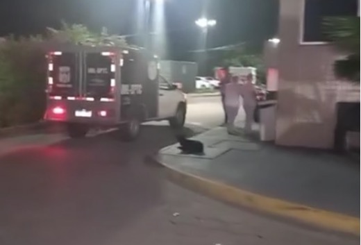 Morre em hospital jovem baleado na nuca em área vermelha de Manaus