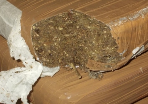 Amazonense é presa com 10 Kg de drogas em ônibus a caminho de Rondônia