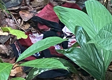 Jovem é encontrado morto dentro de reserva florestal em Manaus 