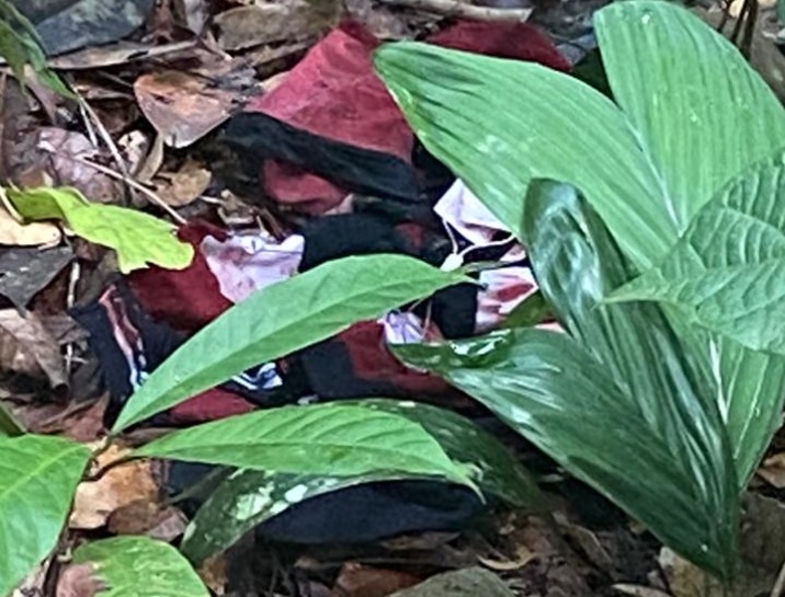 Jovem é encontrado morto dentro de reserva florestal em Manaus 