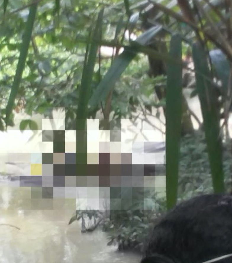 Moradores encontram corpo boiando em igarapé da zona Norte de Manaus 